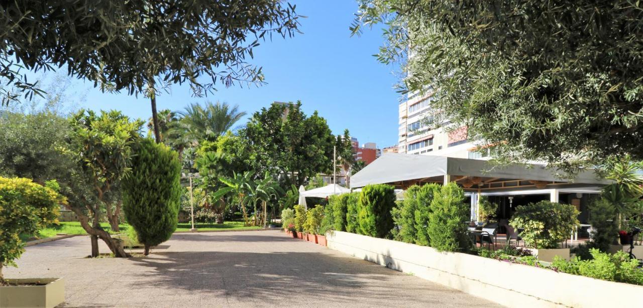Penthouse Cervantes Sea View Benidorm Kültér fotó